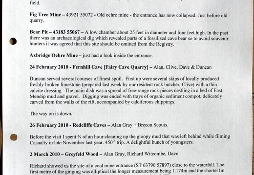 2010 Page 03